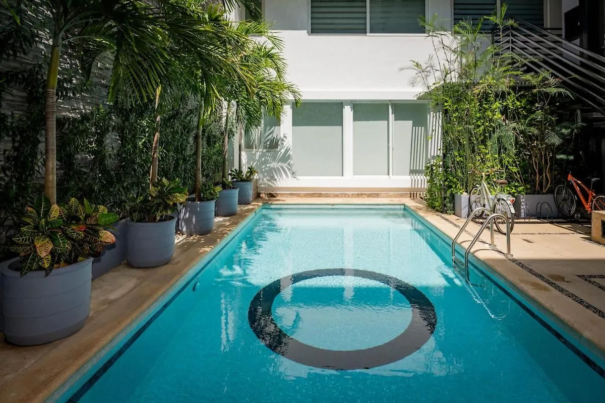 Magnificent 2 Blocks From The Beach And 5Th Ave Playa del Carmen Apartment