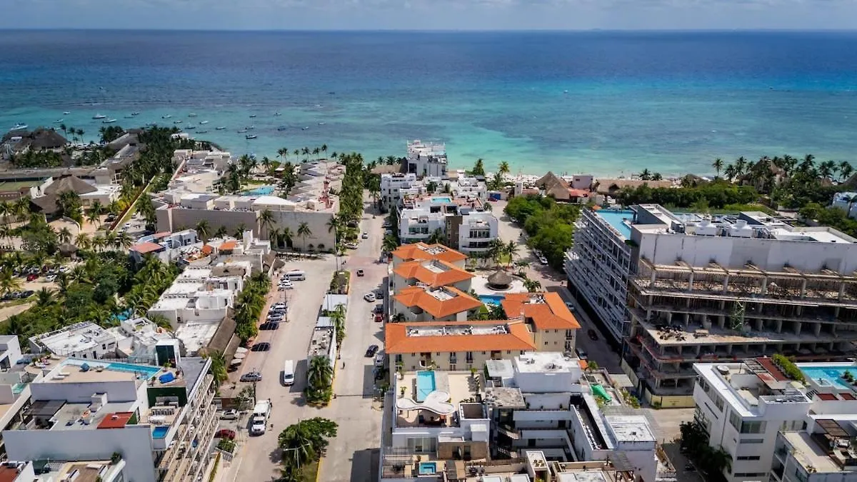 Magnificent 2 Blocks From The Beach And 5Th Ave Playa del Carmen Apartment
